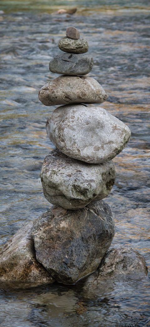 投标进度看板截图，四个状态分组纵向堆叠，每组内是项目小卡片与剩余天数标识，配色克制